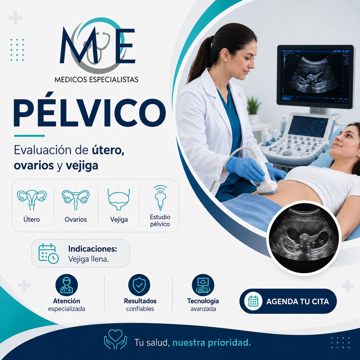 Pélvico: Útero, ovarios, vejiga.