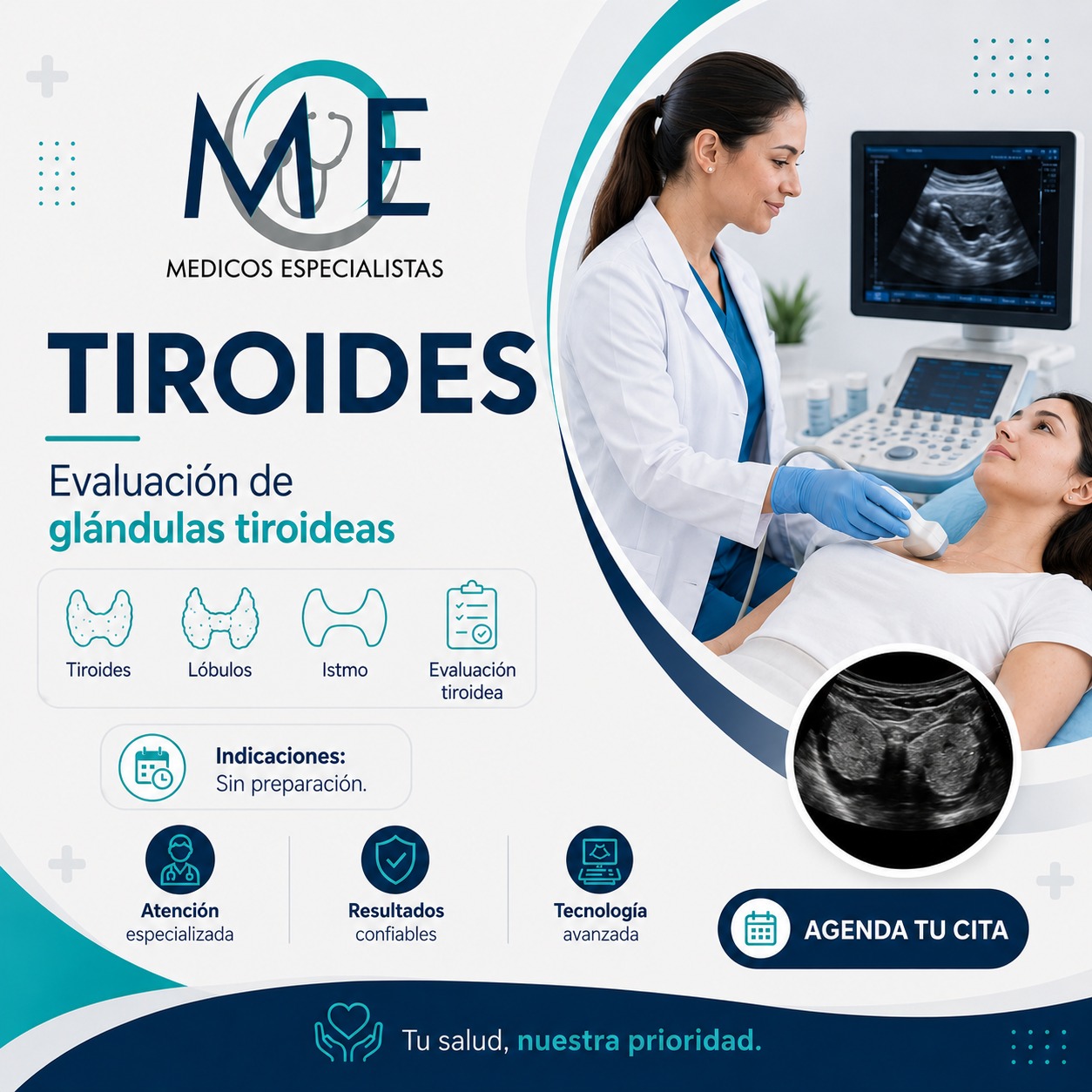 Tiroides: Glándulas tiroideas